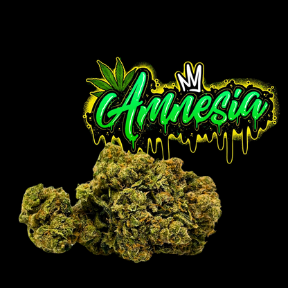 Amnesia CBD Indoor 25% – Fleur Premium <0,3% THC | BRGREEN