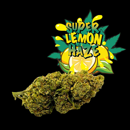 Super Lemon Haze CBD Greenhouse 25% – Fleur Premium <0,3% THC | BRGREEN