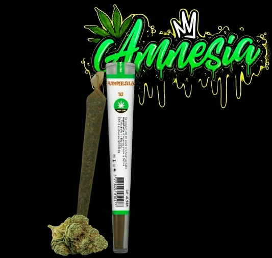 Pre-Roll Amnesia CBD – Pack de 5 cônes Premium | CBD puissant & légal