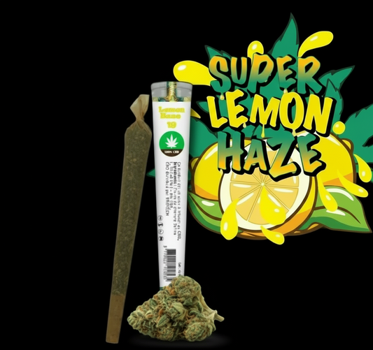 Pre-Roll CBD Lemon Haze 1G – Pack de 5 | BRGREEN