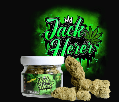Jack Herer CBD 20% – Fleur Greenhouse Premium <0,3% THC | BRGREEN
